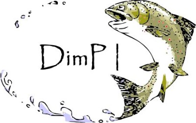 Logo DimP 1.0