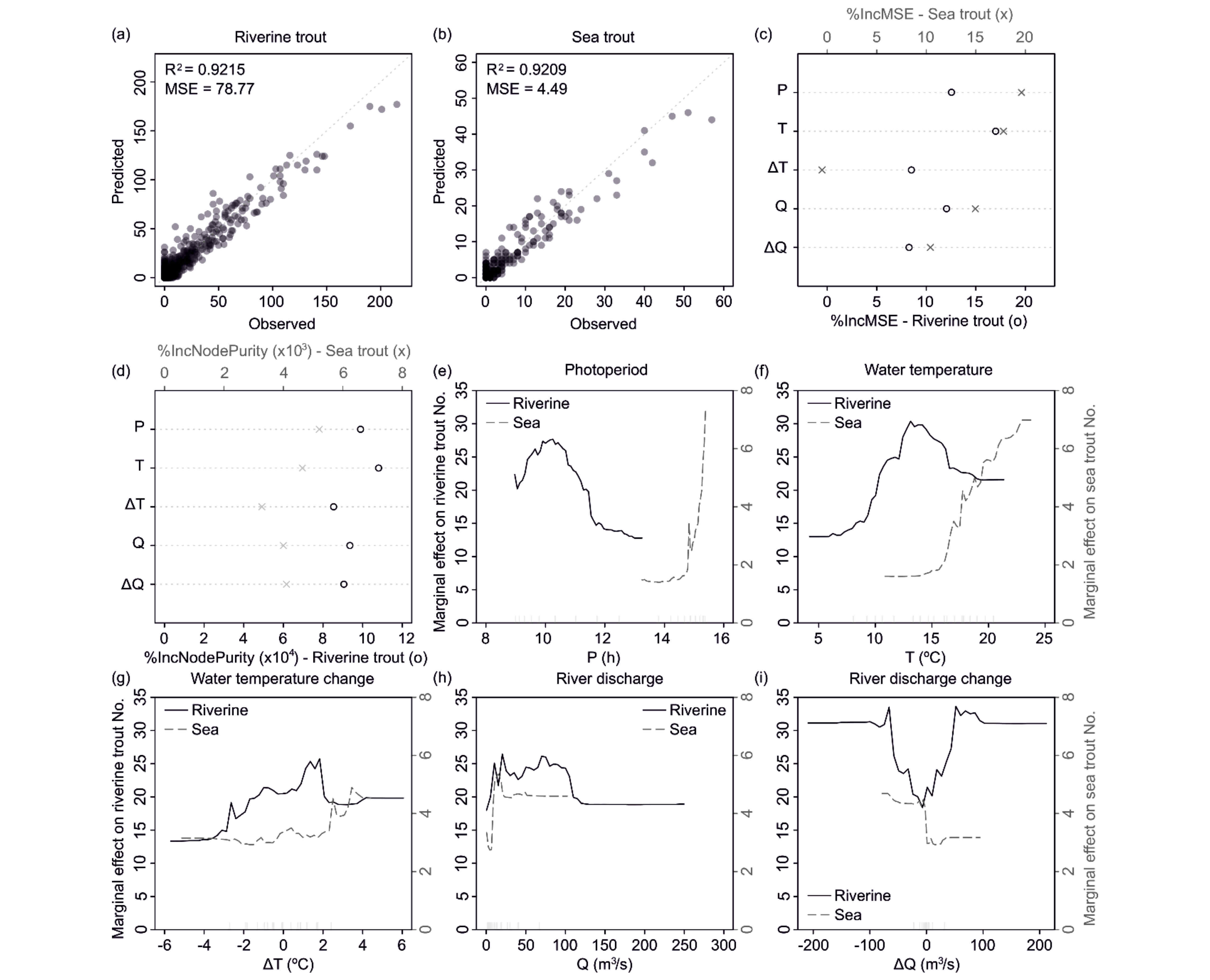 Análisis de variables de interés en el movimiento de ascenso en salmónidos